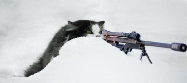 Не уйдёшь, сцуко! Не уйдёшь, сцуко!